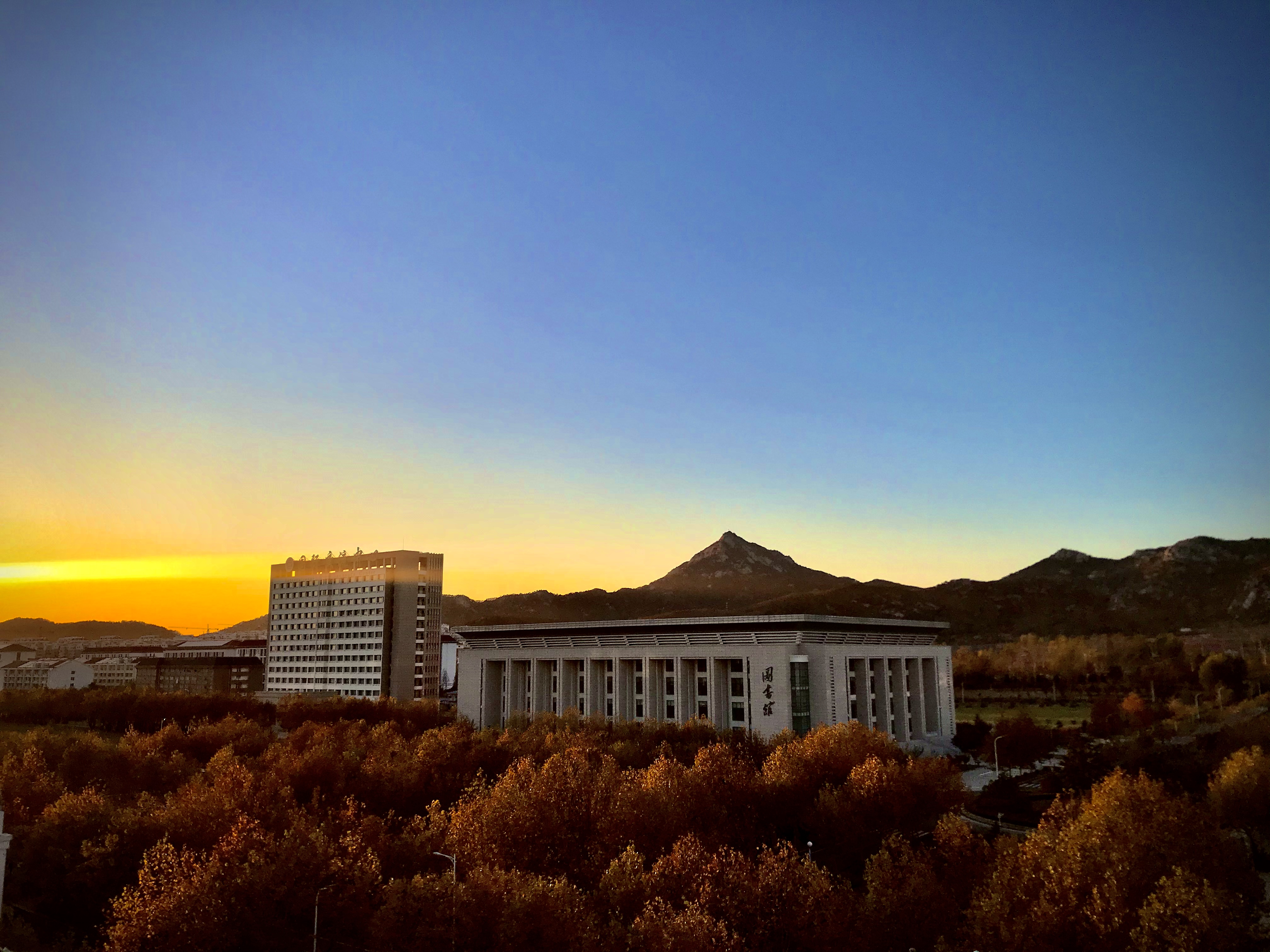 山東外事職業(yè)大學-校園風景