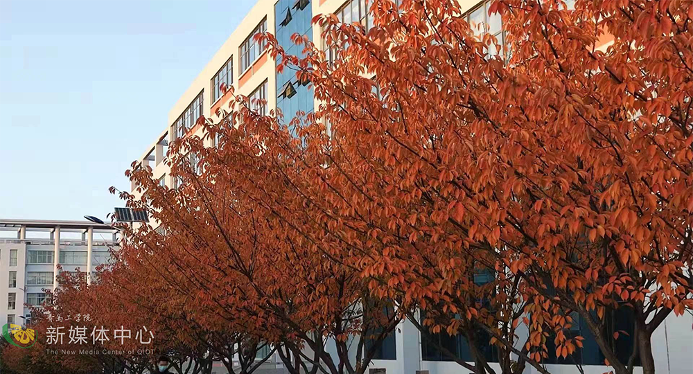 青島工學院：校名題寫 / ?；赵O計