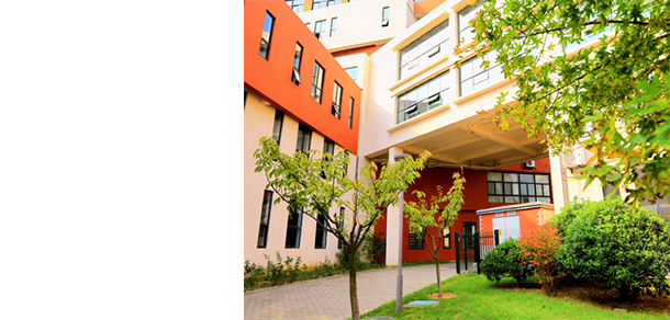 我的大學-大學志