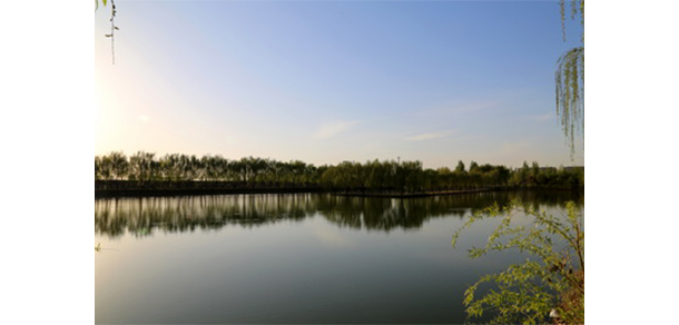 山東農(nóng)業(yè)工程學(xué)院