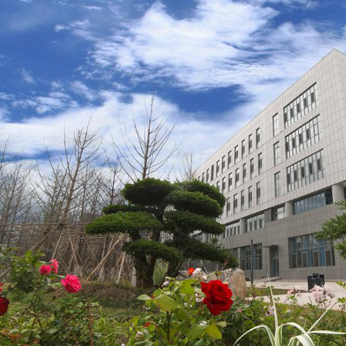 大學(xué)簡介