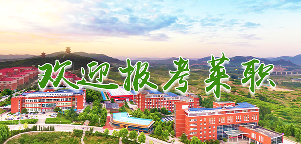 萊蕪職業(yè)技術學院