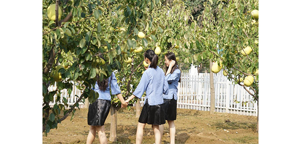 菏澤醫(yī)學(xué)?？茖W(xué)校