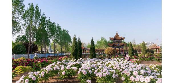 菏澤醫(yī)學(xué)?？茖W(xué)校