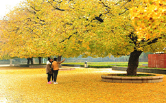 山東畜牧獸醫(yī)職業(yè)學院 - 我的大學
