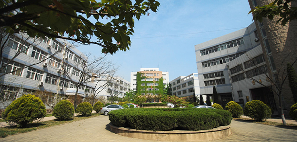 山東外貿職業(yè)學院