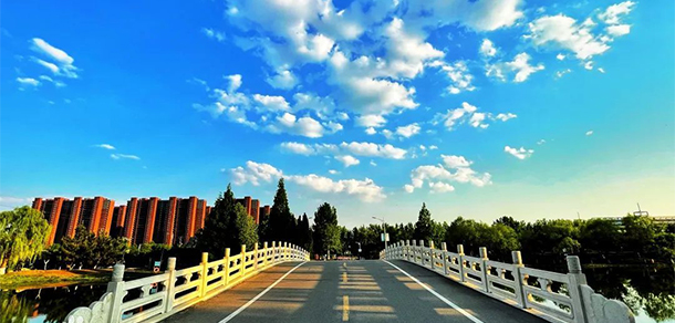 泰山職業(yè)技術(shù)學院