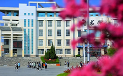 泰山職業(yè)技術(shù)學院 - 我的大學