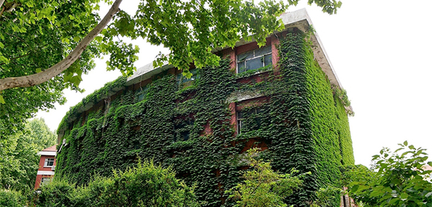 臨沂職業(yè)學院