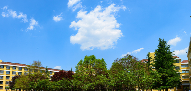 臨沂職業(yè)學院