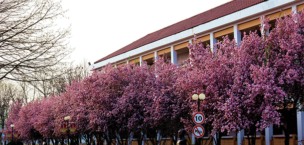 臨沂職業(yè)學院