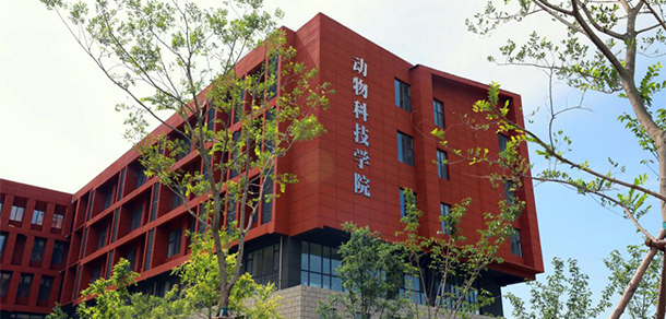 臨沂科技職業(yè)學院