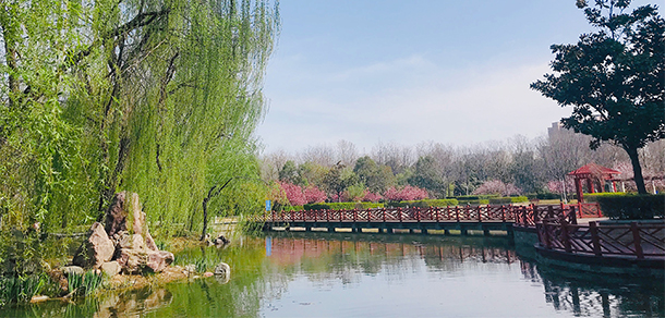 河南師范大學
