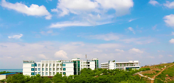 我的大學(xué)-大學(xué)志