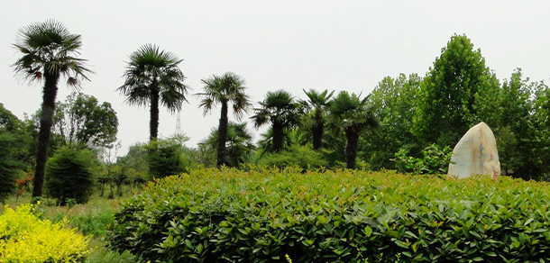 許昌職業(yè)技術(shù)學(xué)院