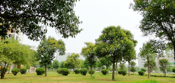 許昌職業(yè)技術(shù)學(xué)院
