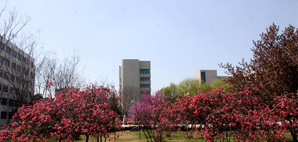 漯河職業(yè)技術(shù)學院 - 最美大學
