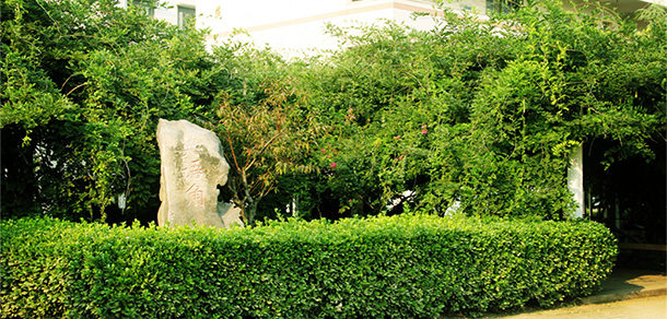 鄭州澍青醫(yī)學(xué)高等?？茖W(xué)校