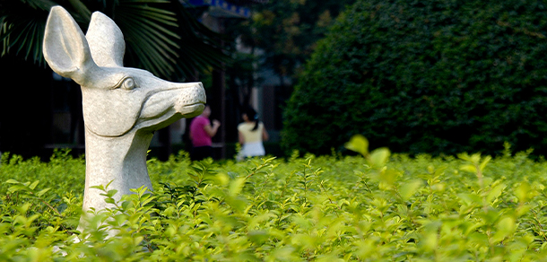 河南農(nóng)業(yè)職業(yè)學院 - 最美院校