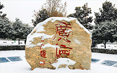 河南農(nóng)業(yè)職業(yè)學院 - 我的大學