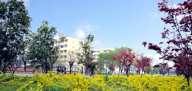 駐馬店職業(yè)技術(shù)學(xué)院
