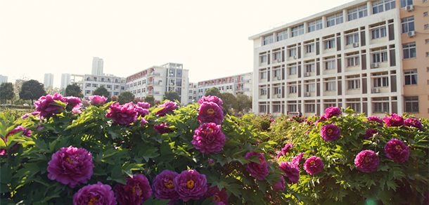 河南推拿職業(yè)學院