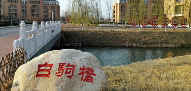 我的大學(xué)-大學(xué)志