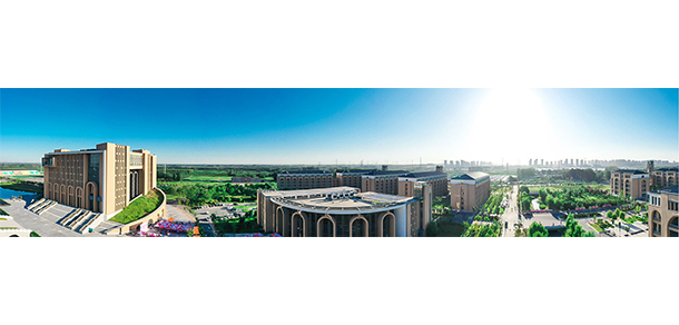 我的大學(xué)-大學(xué)志