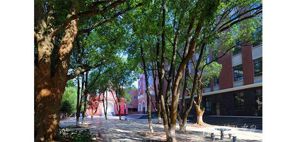 我的大學(xué)-大學(xué)志