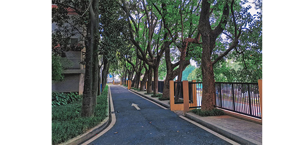 湖南師范大學(xué)樹達學(xué)院