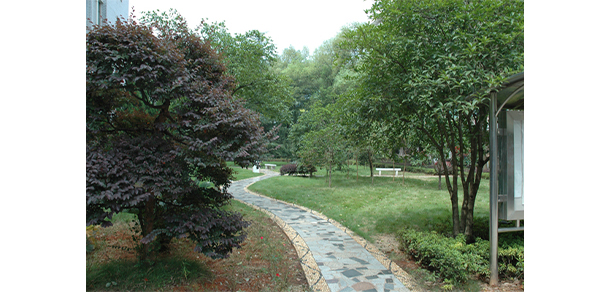 湖南師范大學(xué)樹達學(xué)院