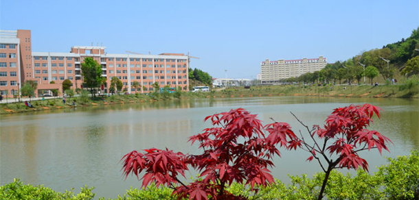中南林業(yè)科技大學涉外學院
