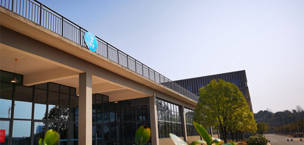 我的大學(xué)-大學(xué)志