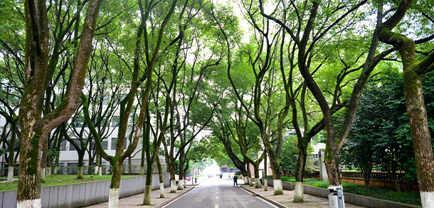 長沙電力職業(yè)技術(shù)學院