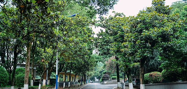 長沙電力職業(yè)技術(shù)學院