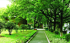 湖南安全技術職業(yè)學院 - 我的大學