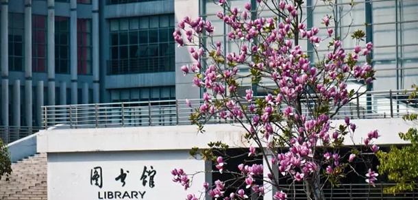 我的大學(xué)-大學(xué)志