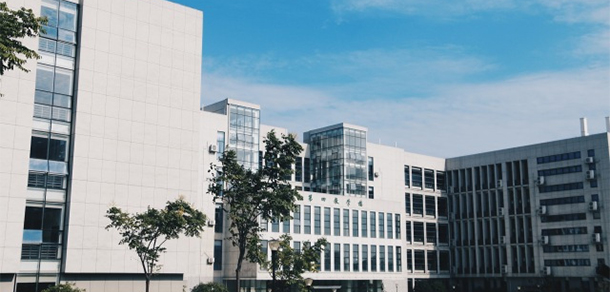 我的大學(xué)-大學(xué)志