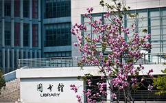歷史沿革（概）校史
