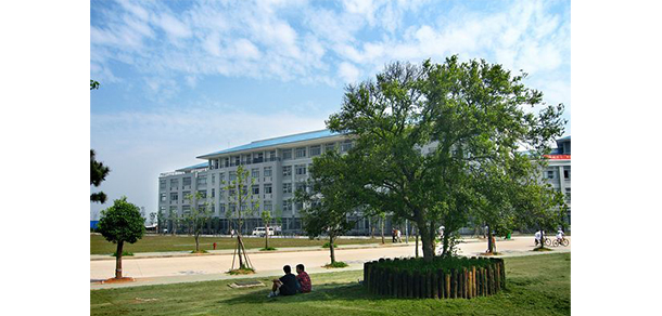 我的大學-大學志