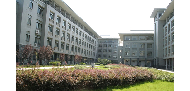 我的大學-大學志