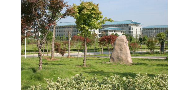 我的大學-大學志