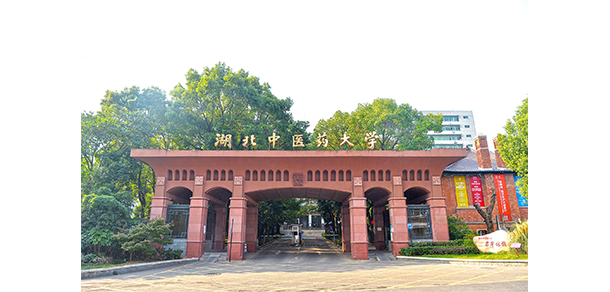 我的大學-大學志