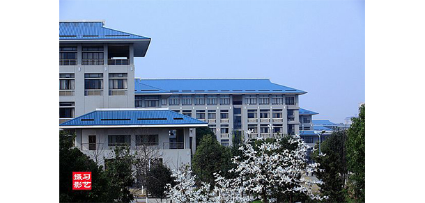 我的大學-大學志