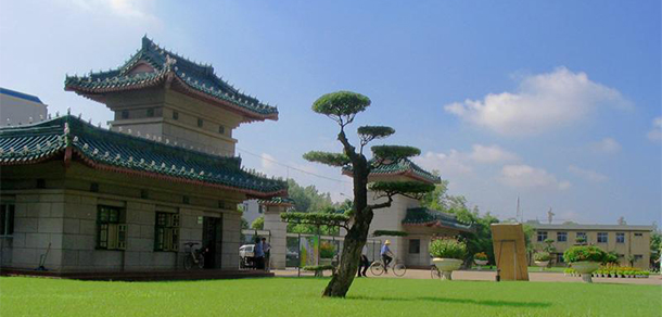 我的大學(xué)-大學(xué)志