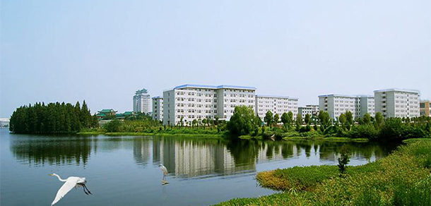 我的大學(xué)-大學(xué)志