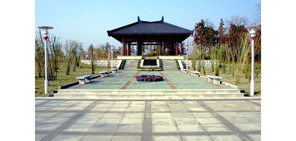 我的大學(xué)-大學(xué)志