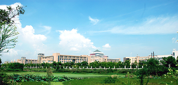 我的大學(xué)-大學(xué)志