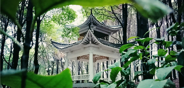 我的大學(xué)-大學(xué)志