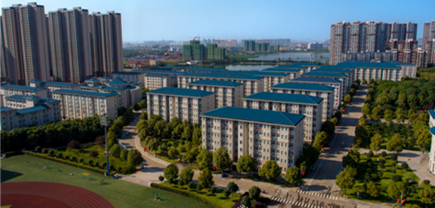 我的大學(xué)-大學(xué)志
